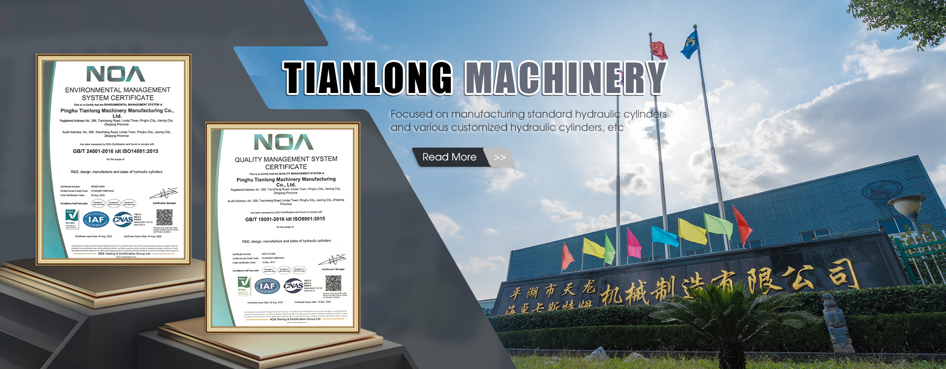 China Standaard hydraulische cilinder